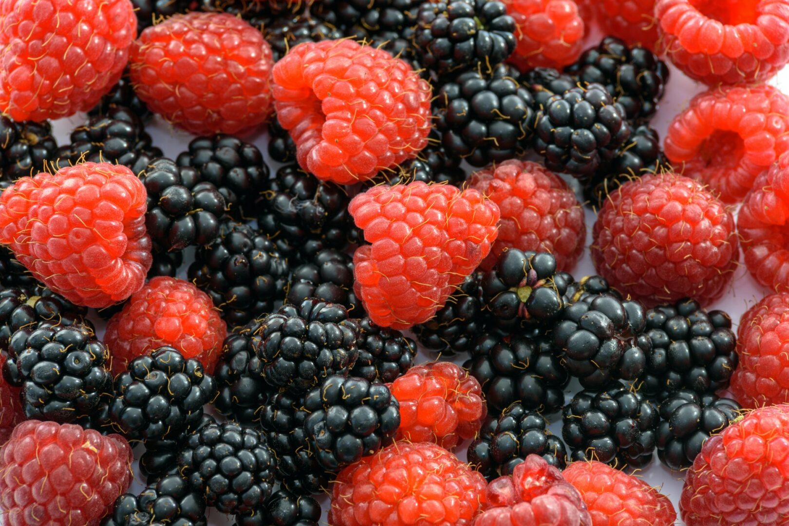 Red and black raspberries that are on a white background